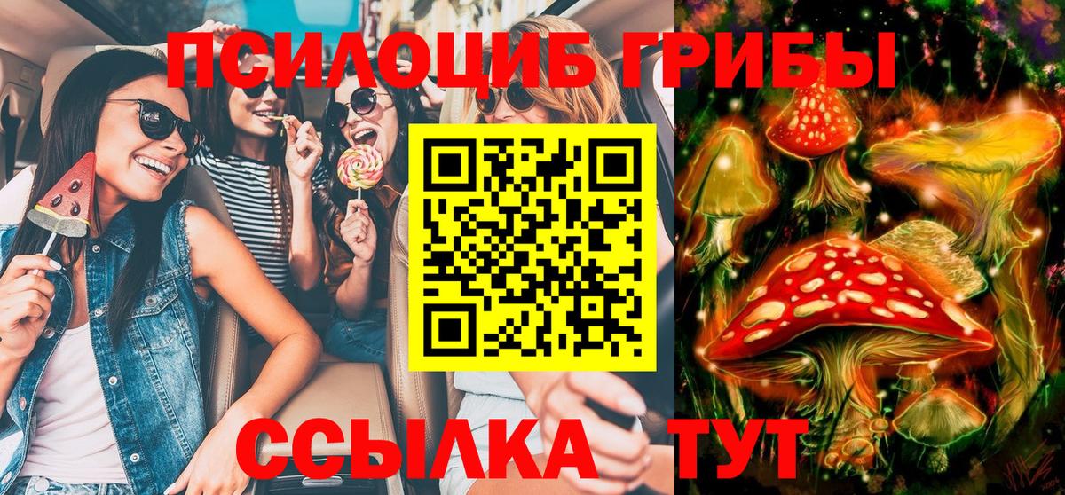 Галлюциногенные грибы Psilocybe  Вход с VPN  Комсомольск-на-Амуре 